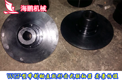 WGP型帶制動盤鼓形齒式聯軸器